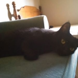 Meet your Posher, Tyler